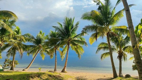 Quels sont les conseils pour une plongée en apnée dans les calanques de Cassis, France ?